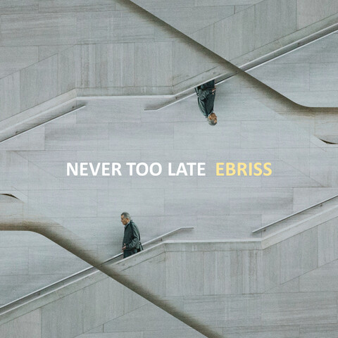 Never Too Late Song Download: Never Too Late MP3 Song Online Free on