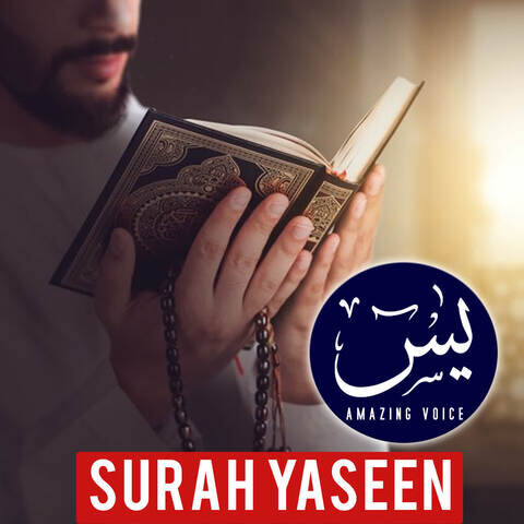 surah yaseen mp3 song free download audio