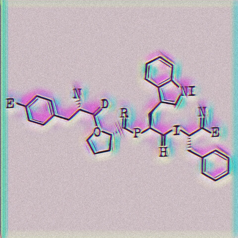 Endorphine Song Download Endorphine MP3 German Song Online Free on