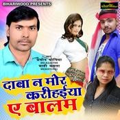 Hindi Movie Raja Babu Mp3 Song Free Download