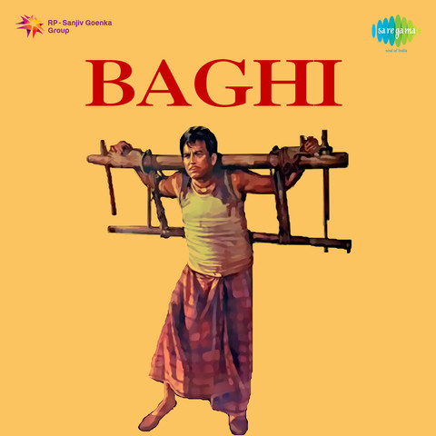 Baghi Songs Download: Baghi MP3 Songs Online Free on Gaana.com