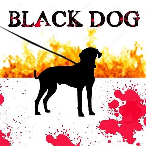 Black Dog Song Download: Black Dog MP3 Song Online Free on Gaana.com