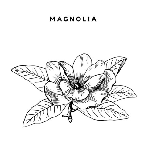 Magnolia Songs Download: Magnolia MP3 Songs Online Free on Gaana.com