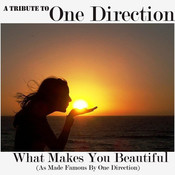 One Direction What Makes You Beautiful As Made Famous By One Direction Mp3 Song Download A Tribute To One Direction What Makes You Beautiful Cover One Direction What Makes You