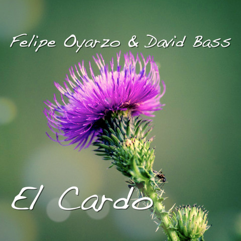 El Cardo Song Download: El Cardo MP3 Spanish Song Online Free on 