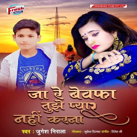 ja bewafa ja hame pyar nahi karna full mp3 song download