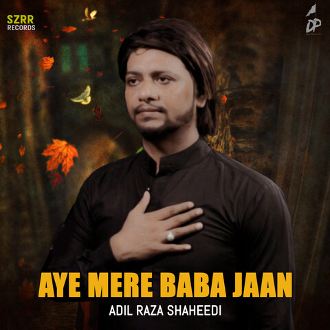 baba aye mere baba noha mp3 download pagalworld