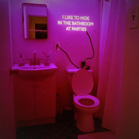 I Like to Hide in the Bathroom at Parties Song Download: I Like to Hide ...