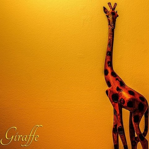 Giraffe Song Download: Giraffe MP3 Song Online Free on Gaana.com