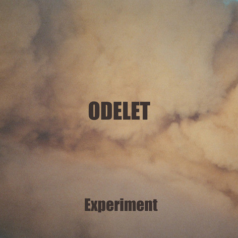 experiment mp3 download