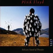 Comfortably Numb Live Mp3 Song Download Delicate Sound Of