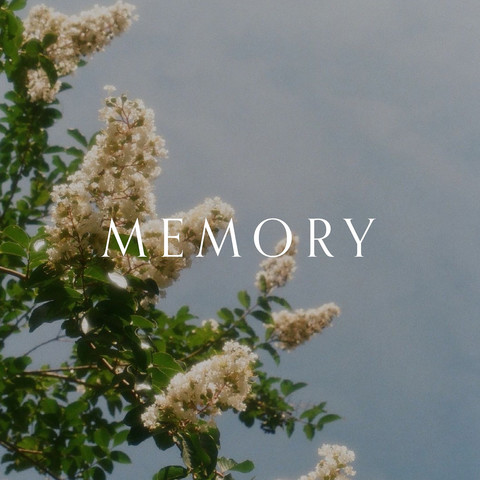 Memory Song Download: Memory MP3 Song Online Free on Gaana.com