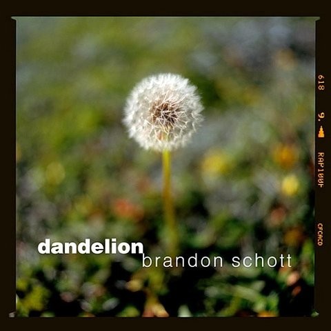 Dandelion Song Download: Dandelion MP3 Song Online Free on Gaana.com