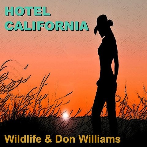 Hotel California Song Download: Hotel California MP3 Song ...