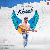 Roi Na MP3 Song Download- Ninja Roi Na Punjabi Song from