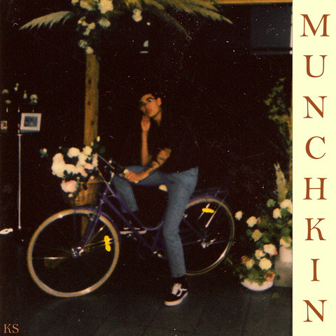 Munchkin Song Download: Munchkin MP3 Song Online Free on Gaana.com