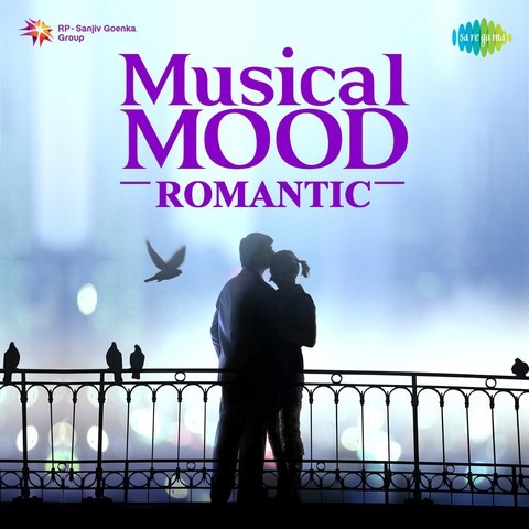 Na Tum Jano Na Hum MP3 Song Download- Musical Mood 