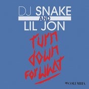 Turn Down For What Mp3 Song Download Turn Down For What Turn Down For What Song By Dj Snake On Gaana Com