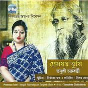 shraboner dharar moto poruk jhore mp3 song