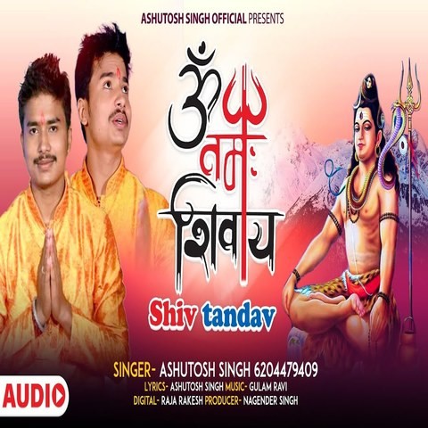 Om Namah Shivay Shiv Tadav Song Download: Om Namah Shivay Shiv Tadav ...