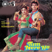 Tum mere ho mere rehna video song download