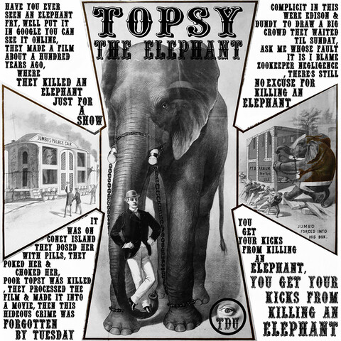 Topsy the Elephant Song Download Topsy the Elephant MP3 Song Online