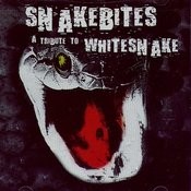 Still Of The Night Mp3 Song Download Snakebites A Tribute To Whitesnake Still Of The Night Song By Bernie Marsden On Gaana Com