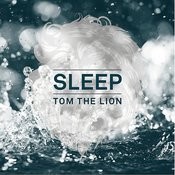 Silent Partner Mp3 Song Download Sleep Silent Partner Song By Tom The Lion On Gaana Com