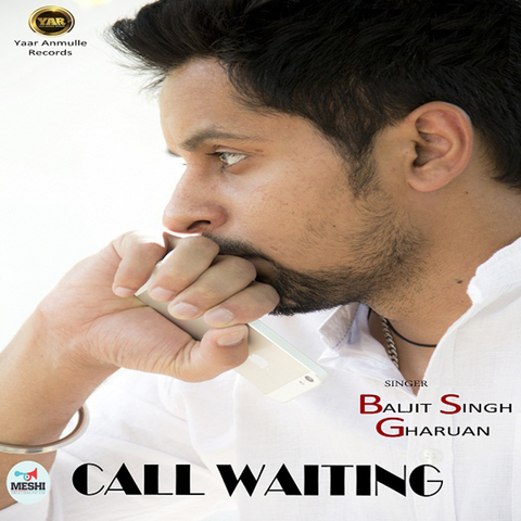 i will wait for your call meaning in punjabi