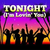 Tonight I M Lovin You I M Fuckin You Made Famous By Enrique Iglesias Ludacris Mp3 Song Download Tonight I M Lovin You I M Fucking You Made Famous By Enrique Iglesias gaana