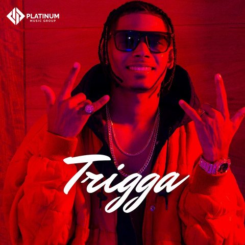 Trigga Songs Download: Trigga MP3 Spanish Songs Online Free on Gaana.com