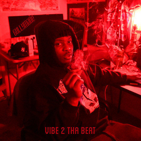 Vibe 2 tha Beat Song Download: Vibe 2 tha Beat MP3 Song Online Free on ...