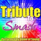 I Never Met A Wolf Who Didn T Love To Howl Mp3 Song Download Tribute To Smash I Never Met A Wolf Who Didn T Love To Howl Song By Union Of Sound On gaana