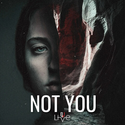 Not You Song Download: Not You MP3 Song Online Free on Gaana.com