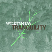 Cabin In The Woods Mp3 Song Download Wilderness Tranquility Cabin