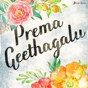 geluvina saradara songs