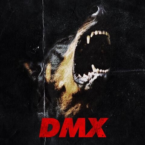 DMX Song Download: DMX MP3 Finnish Song Online Free on Gaana.com