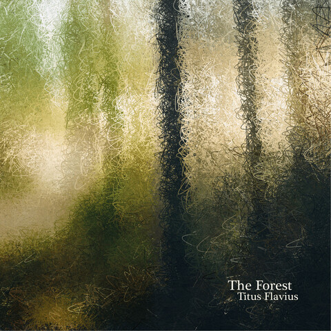 The Forest Song Download The Forest MP3 Song Online Free on