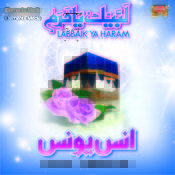 maa ki azmat by anas younus mp3 maa ki azmat by anas younus mp3