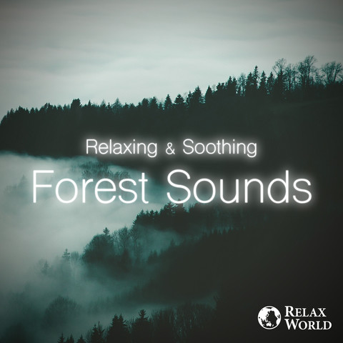 Relaxing & Soothing -Forest Sounds Songs Download: Relaxing & Soothing ...