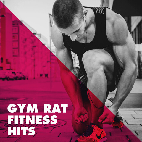 Gym rat  Gym rat, Gym motivation, Gym