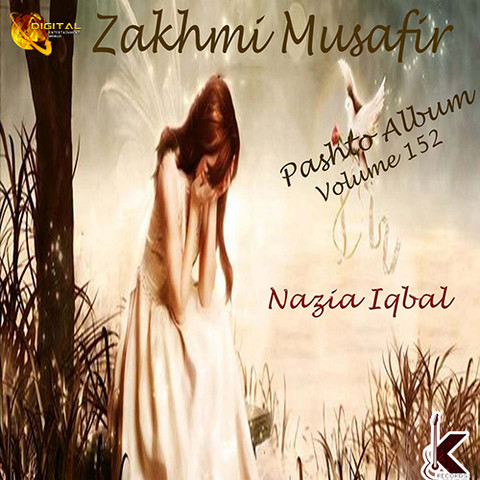 pashto audio songs 2012 free download