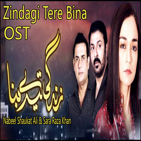tere bina drama pakistani by song download