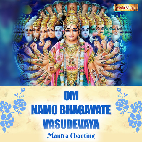om namo bhagavate vasudevaya mantra in hindi
