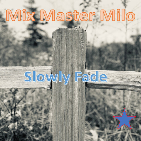 Slowly Fade Song Download: Slowly Fade MP3 Song Online Free on Gaana.com