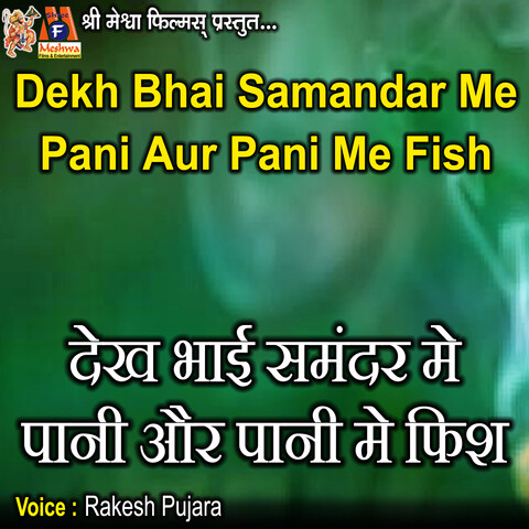 Dekh Bhai Samandar Me Pani Aur Pani Me Fish Song Download: Dekh Bhai ...