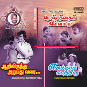 kanmaniye kadhal enbathu song