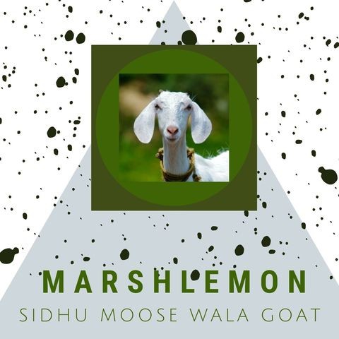 sidhu moose wala song maa mp3 download goat