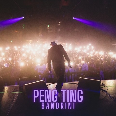 Peng Ting Song Download: Peng Ting MP3 Song Online Free on Gaana.com