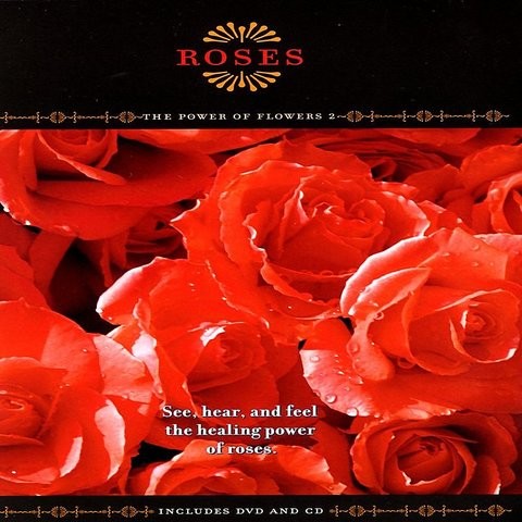 Million Roses MP3 Song Download- Roses - The Power Of Flowers 2 Million ...